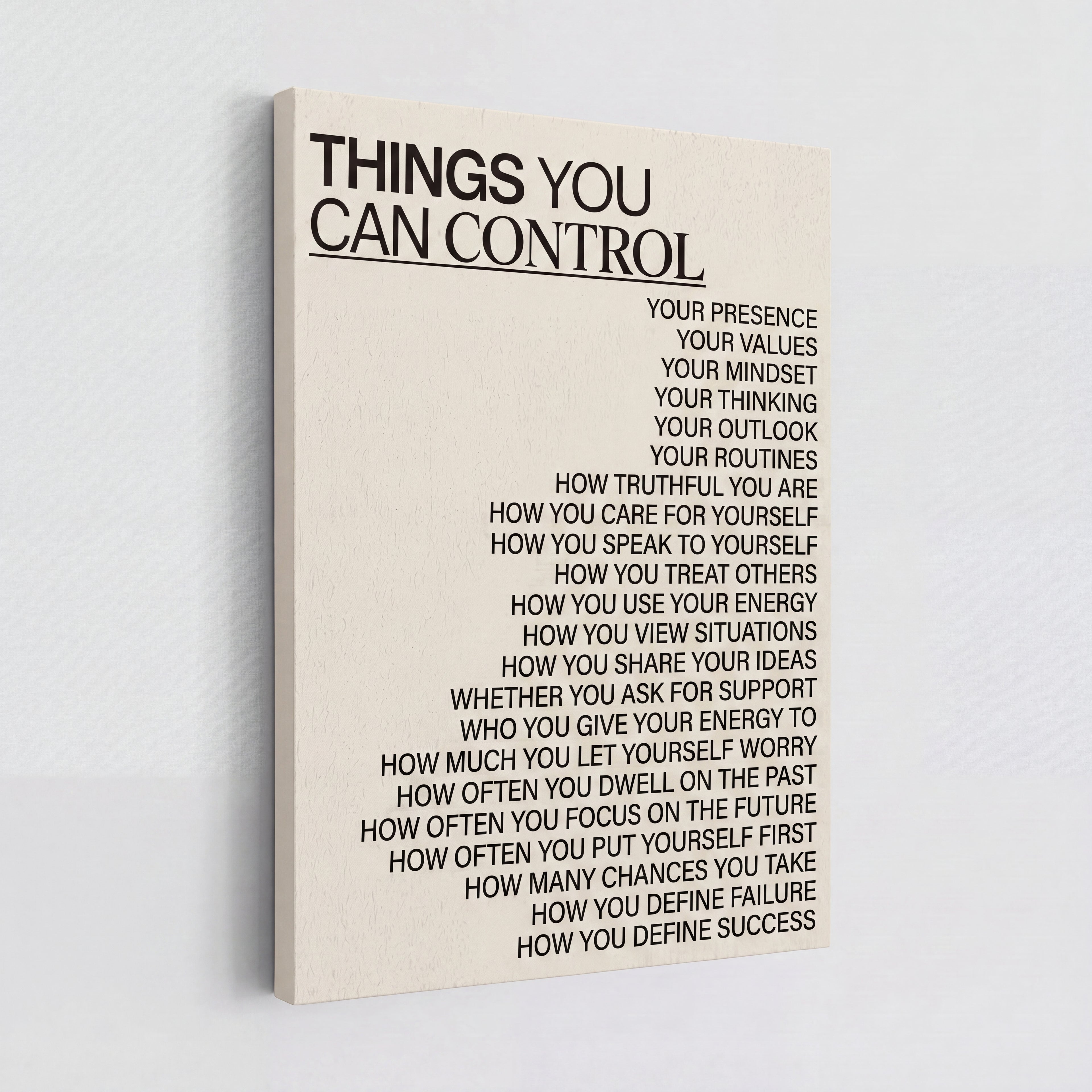 Things You Can Control | Stoic Mindset Canvas Wall Art