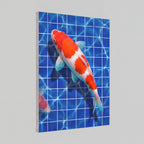 Kōhaku Koi | Japanese Streetwear Fish Canvas Wall Art