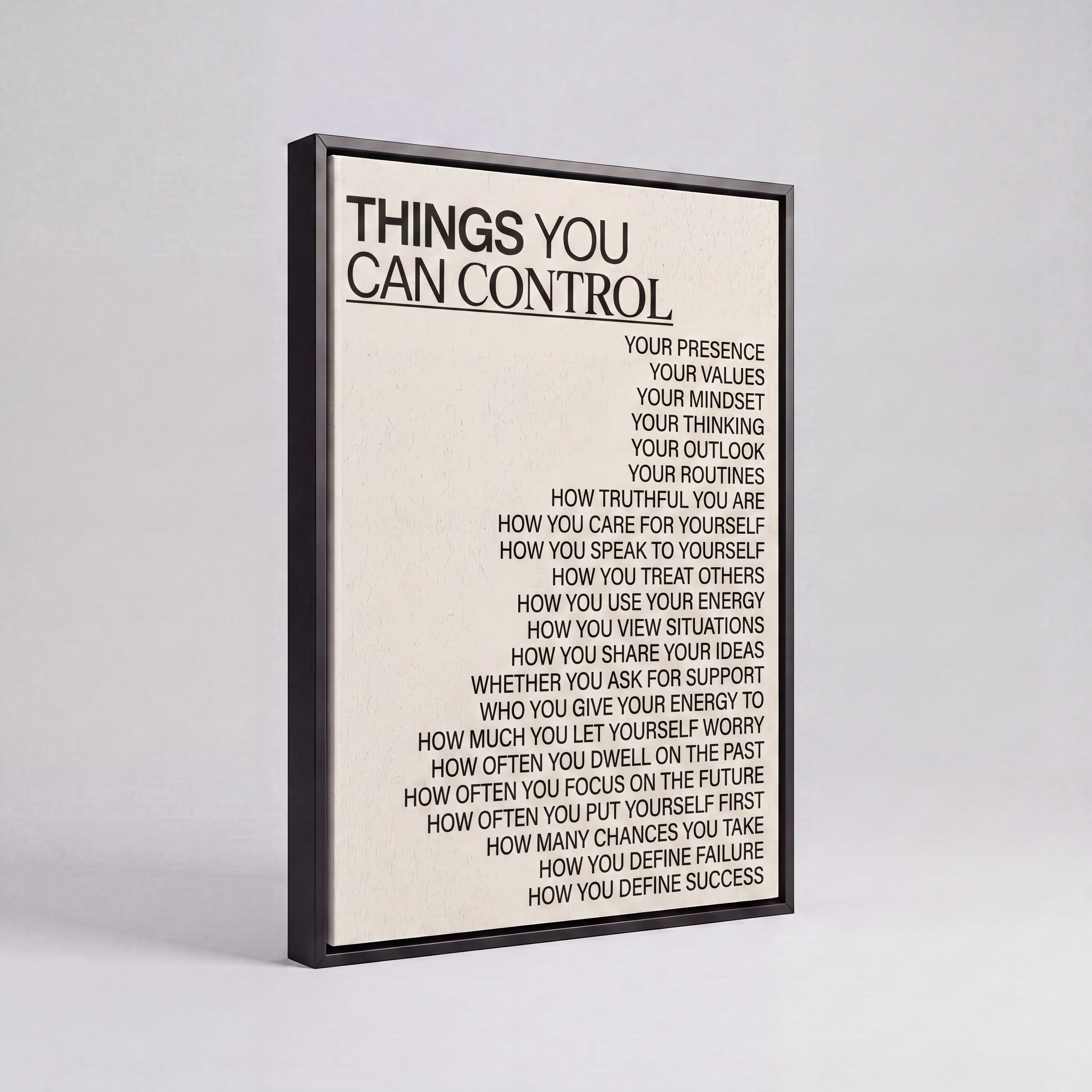 Things You Can Control | Stoic Mindset Canvas Wall Art
