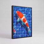 Kōhaku Koi | Japanese Streetwear Fish Canvas Wall Art