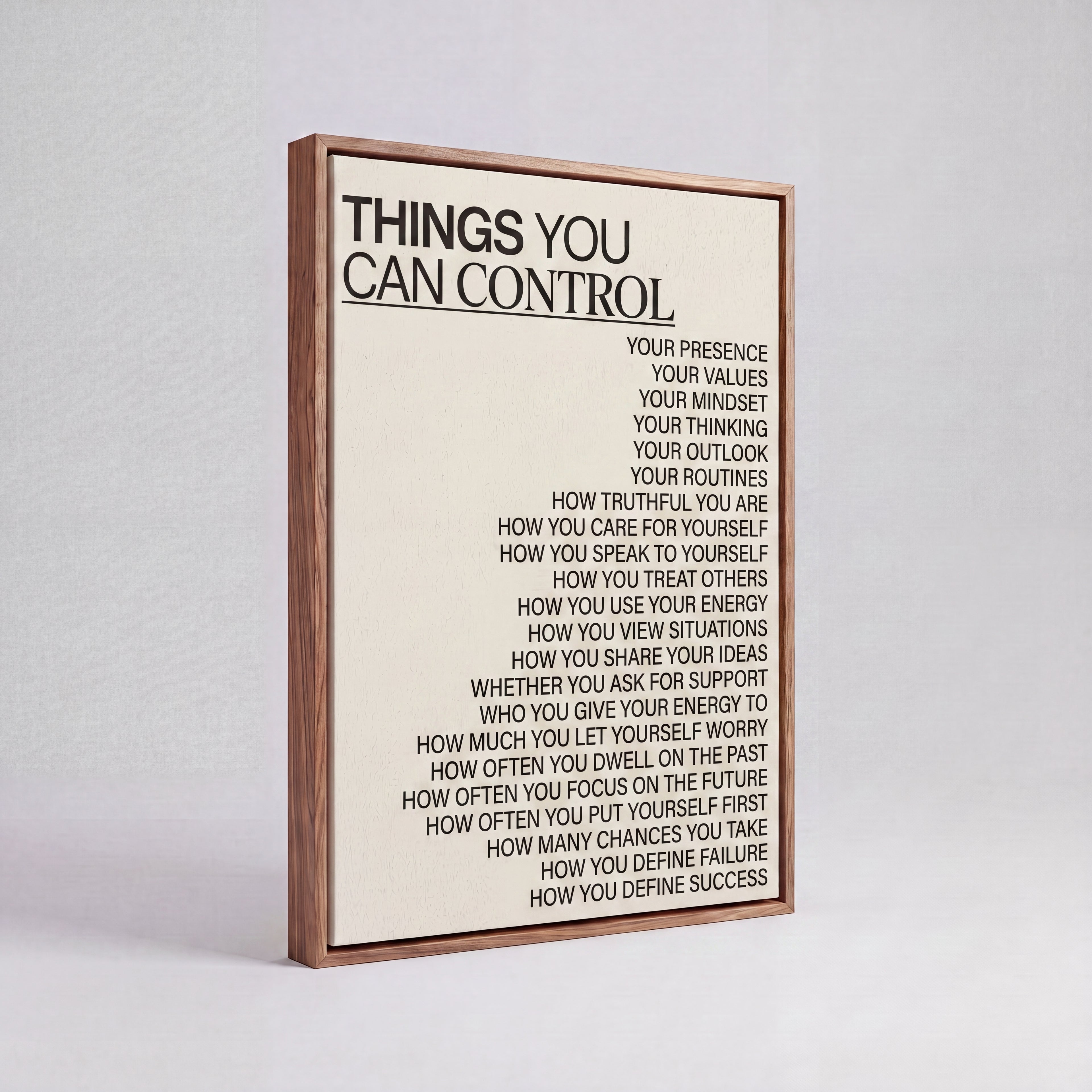 Things You Can Control | Stoic Mindset Canvas Wall Art